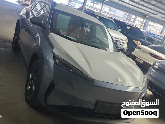 2027 دونج فينج اخرى