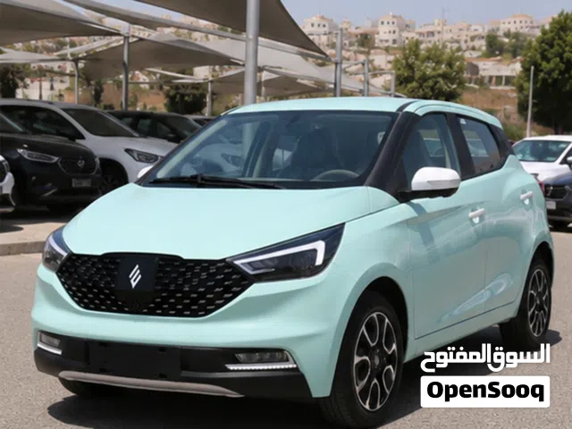 2026 JMEV EV3