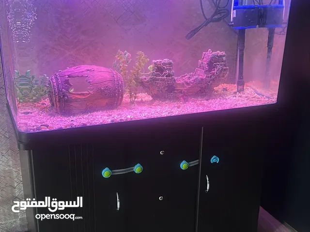 للبيع حوض اسماك كبير شبه جديد استخدام بسيط مع جميع مستلزماته