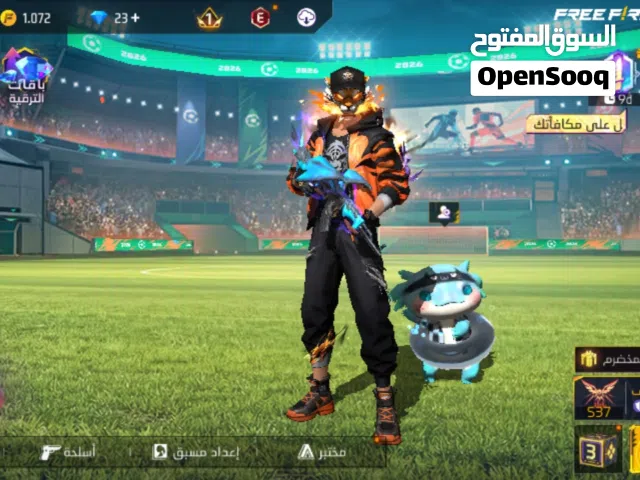 Free Fire Accounts and Characters for Sale in Ma'an