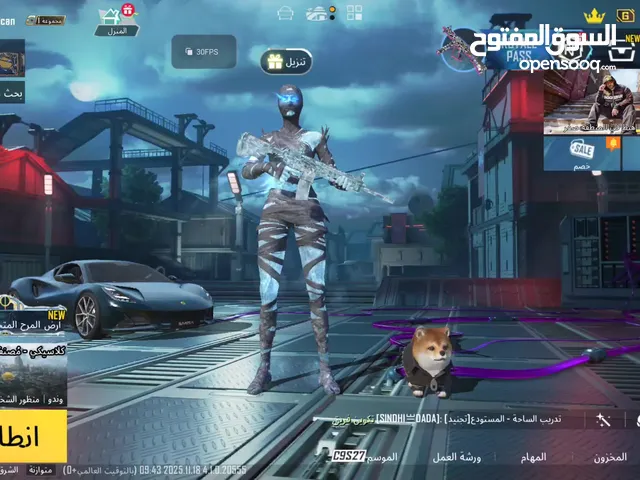 Pubg Accounts and Characters for Sale in Northern Governorate