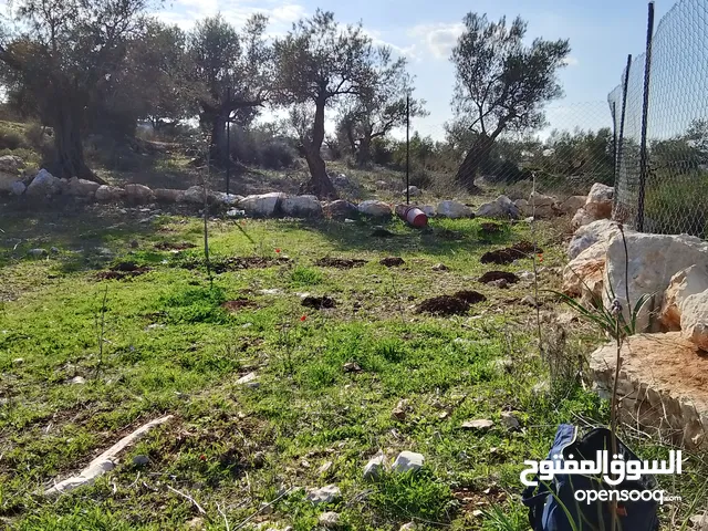 ارض للبيع زتون زراعي الي معني تواصل موجودة صفا غرب رام لله