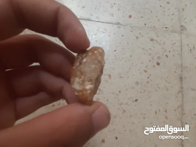 نوع جبليه أصليه