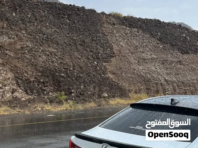 لكسز is350 F sport