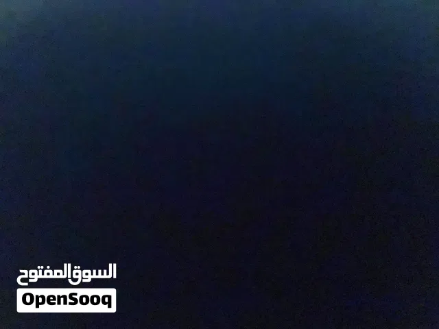 احتاج كلاب للتبني حراسه او زينه