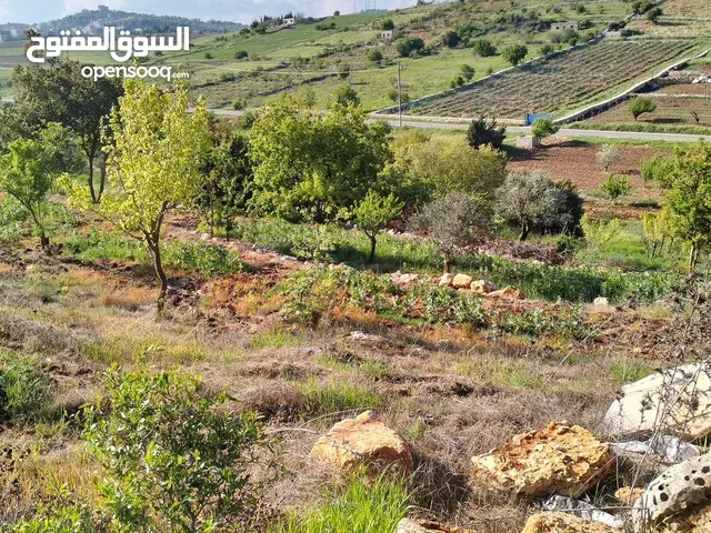 Mixed Use Land for Sale in Bethlehem Abu Nujaym