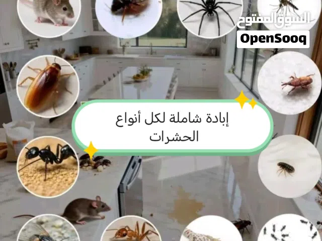 رش مبيد الحشرات بالدمام