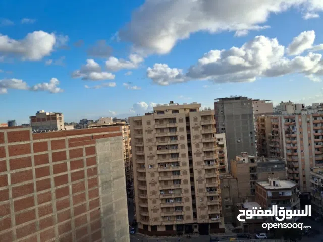 سيدى بشر شارع جمال عبد الناصر الرئيسي الإسكندرية