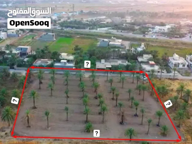قطعة ارض 600 متر في البوعيثة قرب البانزيخانة سند 25 واجها 18 خدمات كاملة قرب الشارع العام