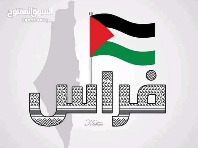 فراس العدوان