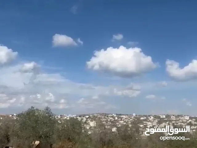 800متر للبيع في سلفيت حوض نجارة