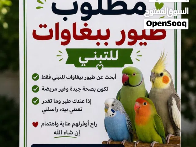 طيور بغبغاء