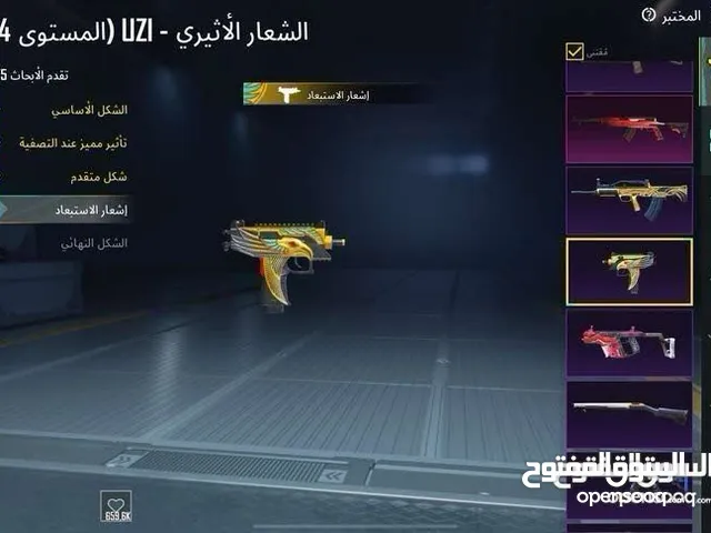 Pubg Accounts and Characters for Sale in Irbid