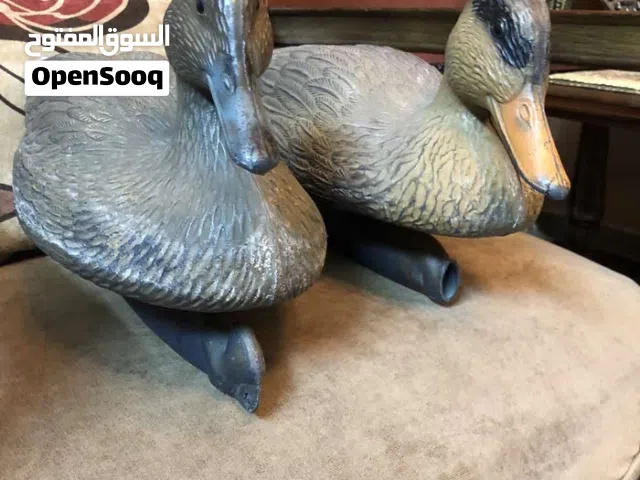 بط صيد عدد 2 صناعة امريكية تطفو فوق الماء زينة للبرك