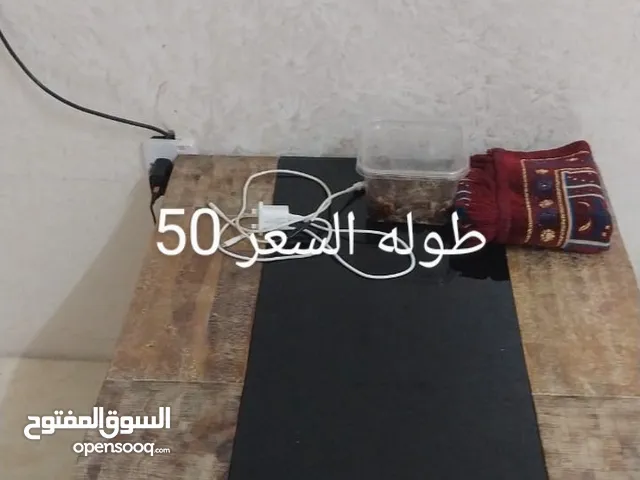 سرير نوم نضيفه