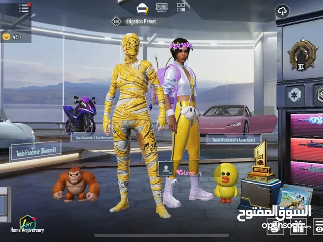 Pubg Accounts and Characters for Sale in Mecca