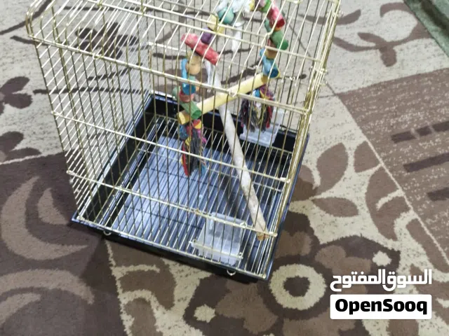 قفص ببغاء ذهبي مقاوم للصداء مع مرجيحه كبيره و معالفه للبيع و ليس للبدل إقرأ التفاصيل