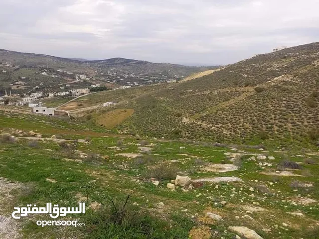 Mixed Use Land for Sale in Zarqa Birayn