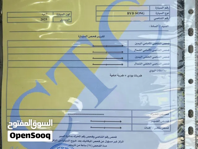 2025 بي واي دي سونج بلس