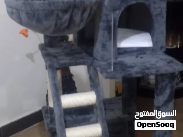 خداشه للقطط وبيت للقطط