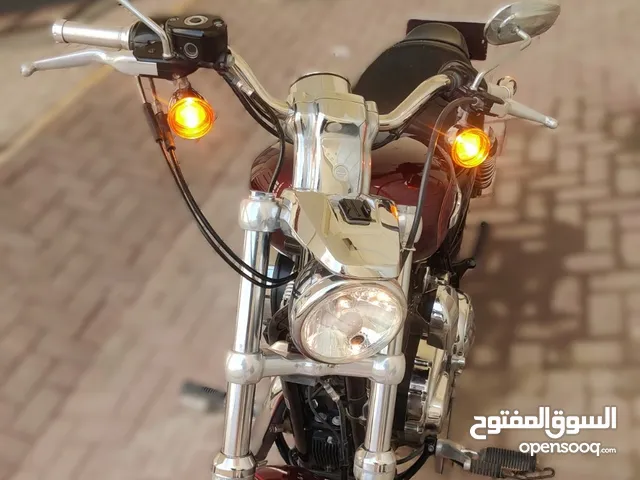 Harley Davidson Sportster 1200 Custom 2016 model