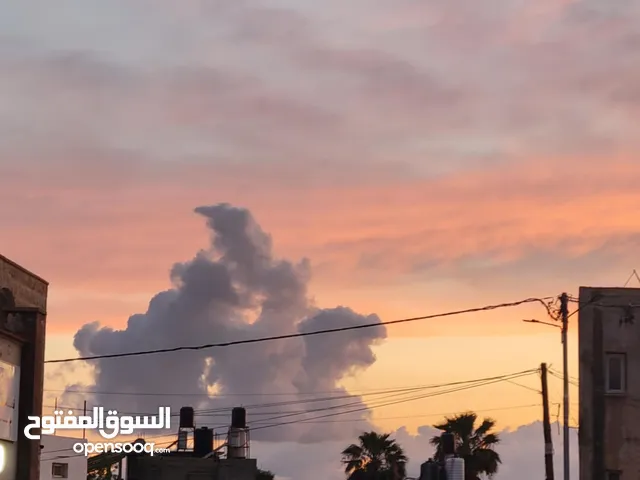 محمد الخطيب