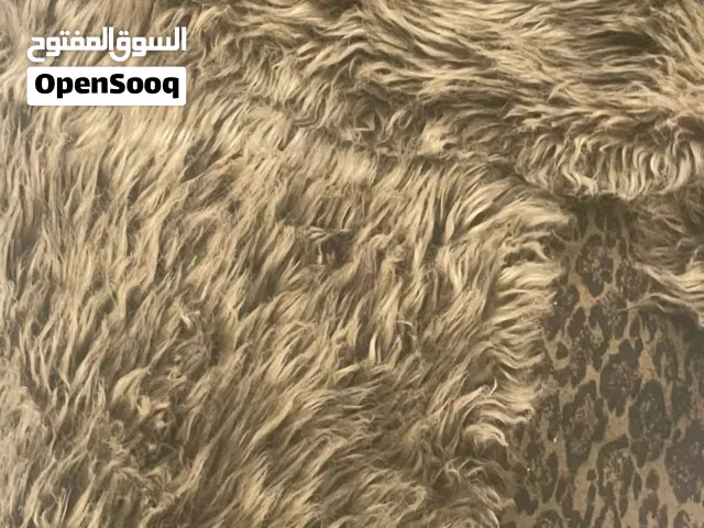 فرشه صوف مستعمل نظيف