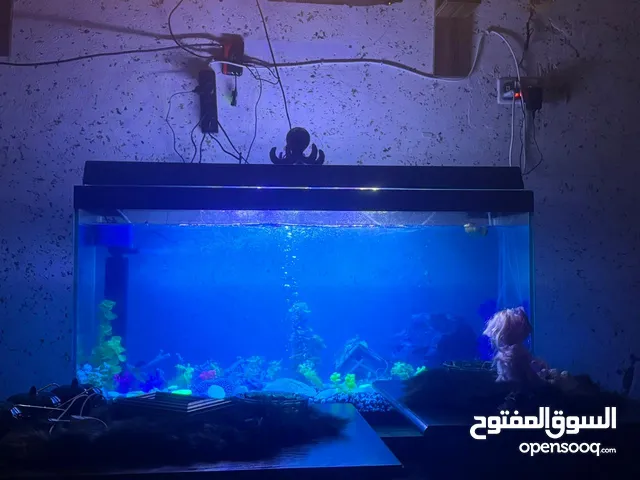 حوض اسماك زجاج سميك