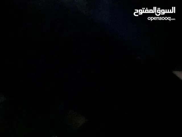 مطلوب جرواي توي بودل 2 للتبني مجاناً