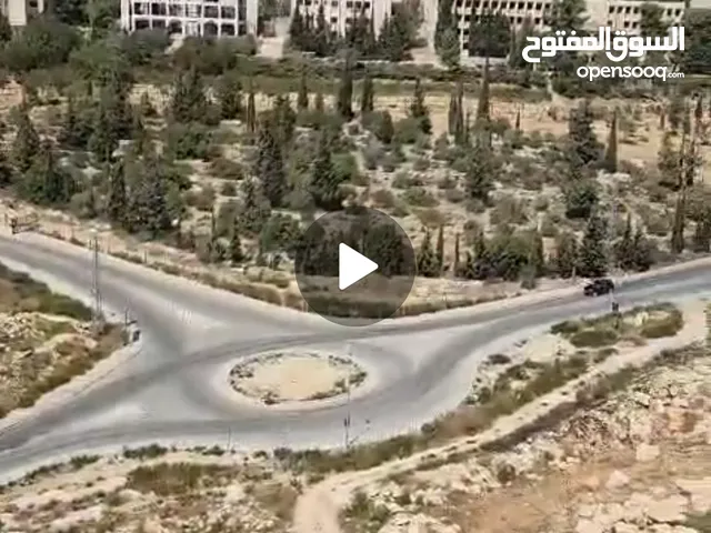 170 m2 More than 6 bedrooms Apartments for Sale in Ramallah and Al-Bireh Birzeit