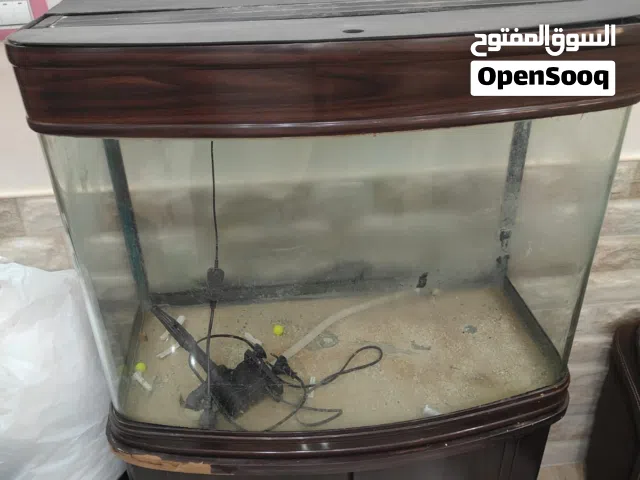 حوض سمك اجنبي للبيع