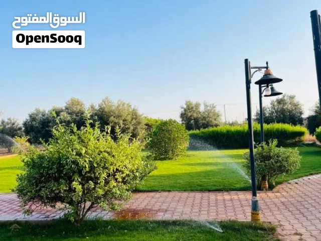 مزرعة للبيع هكتار سوبر لوكس متكاملة ## مواصفات المزرعة - *الموقع*: بين بوهادي والكويفية، منطقة ا