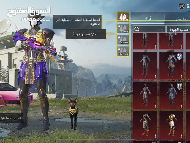 حساب ببجي جوكر ماكس