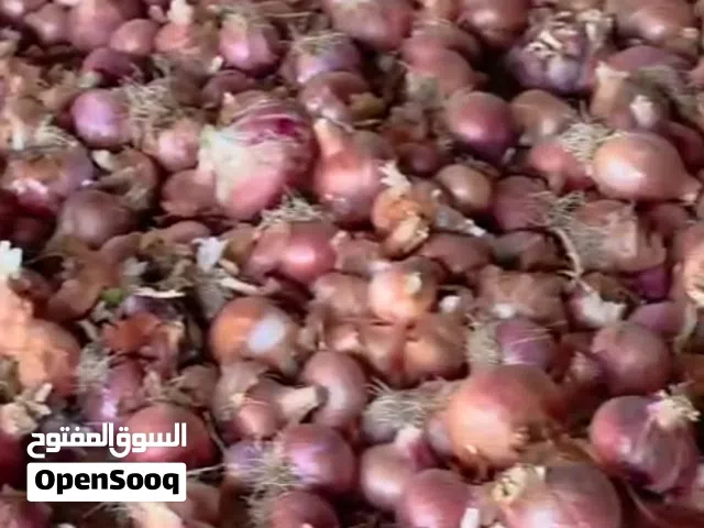 بصل الدار نوع يمني عالي الجودة فرصه حال العيد
