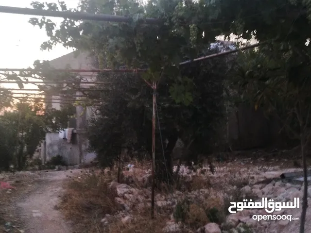 بيت مستقل للايجار في بشرى