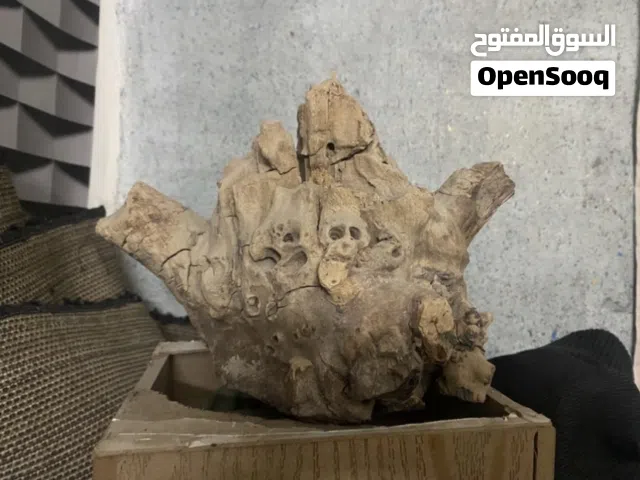 منظر ديكور خشب طبيعي