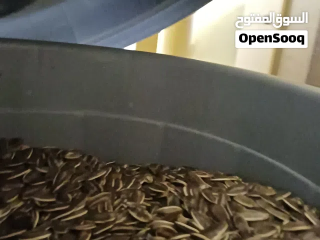 اكل متوه ويصلح لطيور الثانيه