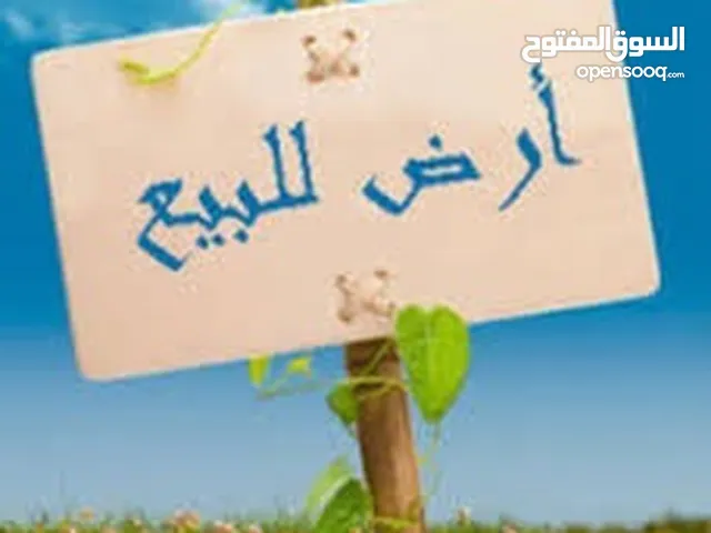 ارض للبيع 300 متر الكريمية قرب مسجد الالباني