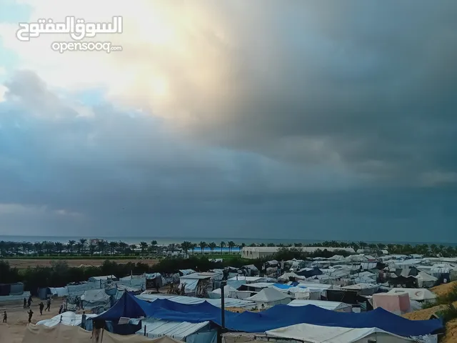 صور للبيع من غزة