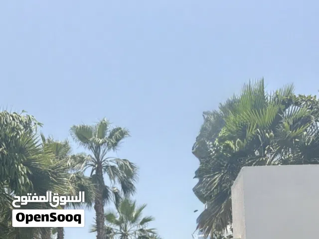 قطعة ارض 500 متر وادي الربيع البازيد