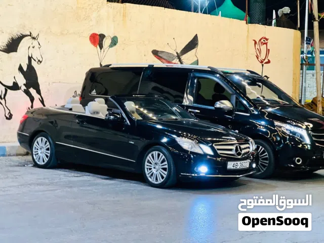 2010, مرسيدس بنز, الفئة-E, E 250