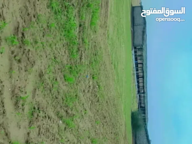 هناكر للبيع عرطه