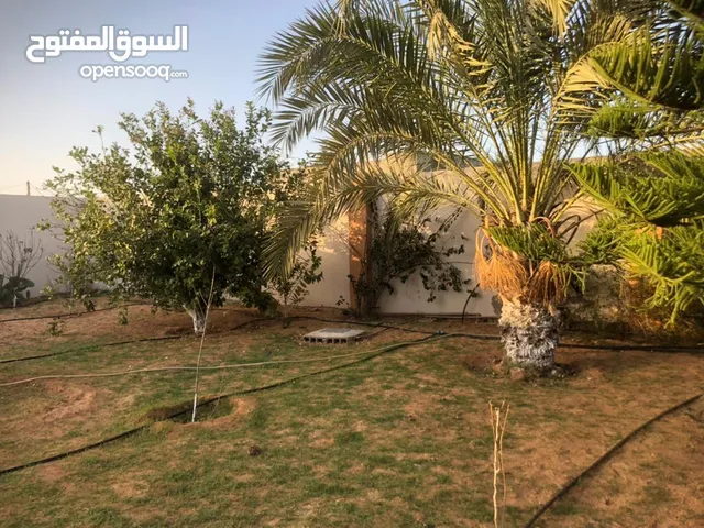 2 Bedrooms Farms for Sale in Tripoli Other