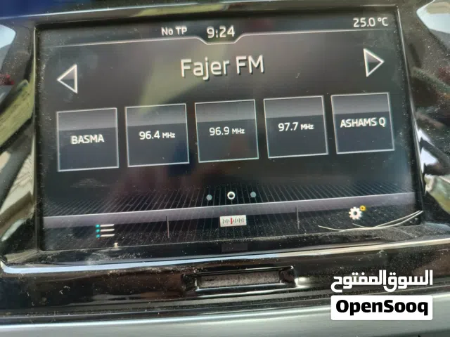 2020 Skoda Fabia Manual