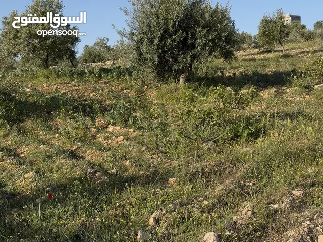 مزرعة للبيع في كفر خل مرقاب عنز الشرقي مساحة 10 دونم مطلة على الشمال باطلالة جميلة و مسورة