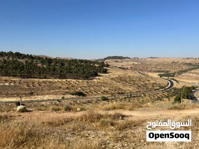 Mixed Use Land for Sale in Jerash Unaybah