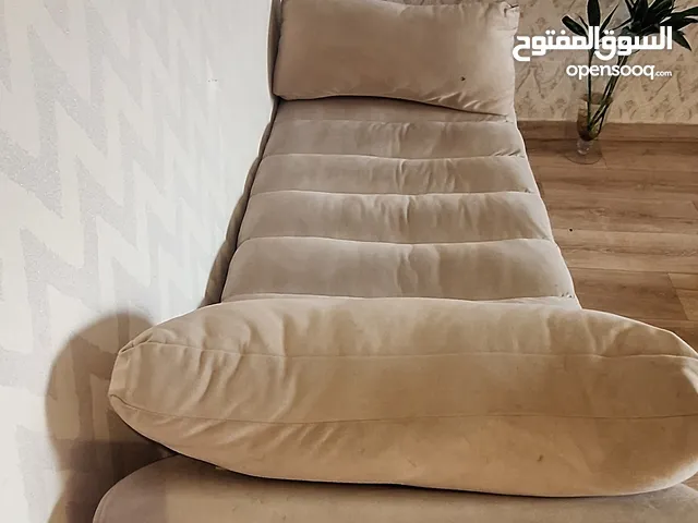 side sofa with two pillows attached