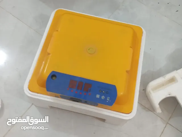 فقاسه دجاج للبيت