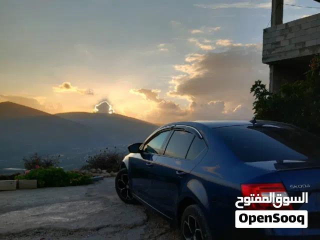 Used Skoda Octavia in Tubas