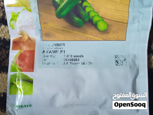 بيت بلاستيك حديد اقواس كامل  طول 10 عرض 5